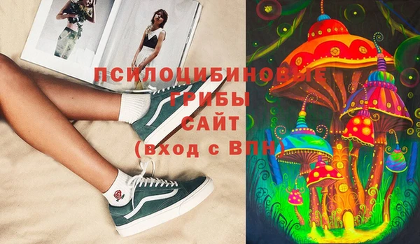 гашик Михайлов