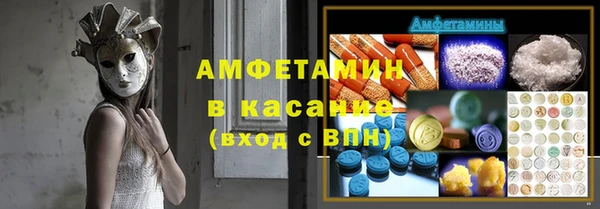 гашик Михайлов