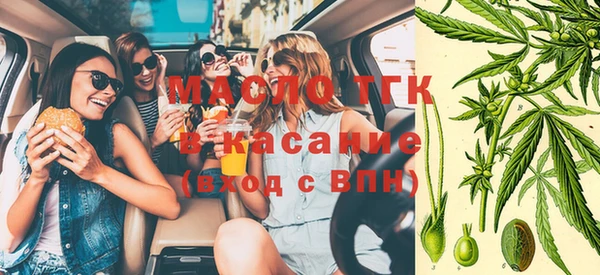 гашик Михайлов