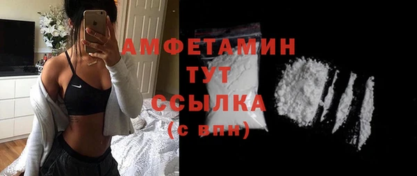 гашик Михайлов