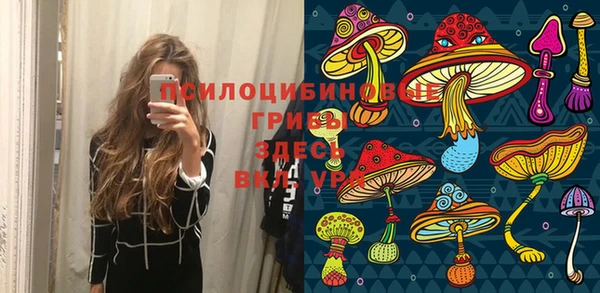 гашик Михайлов